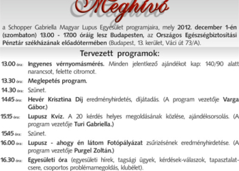 Meghívó (előzetes)