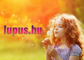 Sikerült megszereznünk a lupus.hu domain nevet